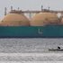 Pakistan ‘rejects’ LNG supply bids for May spot cargoes