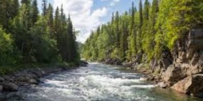 Let the rivers flow