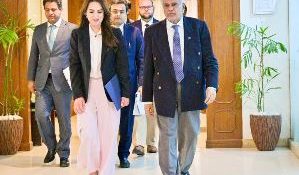 US envoy, Dar discuss evolving regional situation