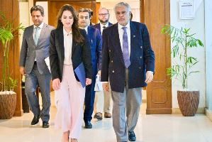 US envoy, Dar discuss evolving regional situation