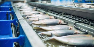 174 Pakistani fish processing plants enlisted
