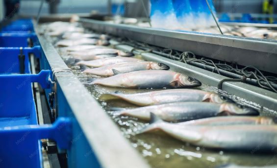174 Pakistani fish processing plants enlisted