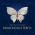 Pakistan invited to join the new season of the Open Eurasian Film Award “Diamond Butterfly”