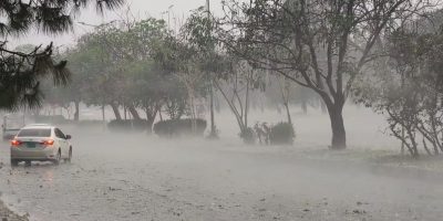 Dust-thunderstorm, rain predicted