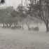 Dust-thunderstorm, rain predicted