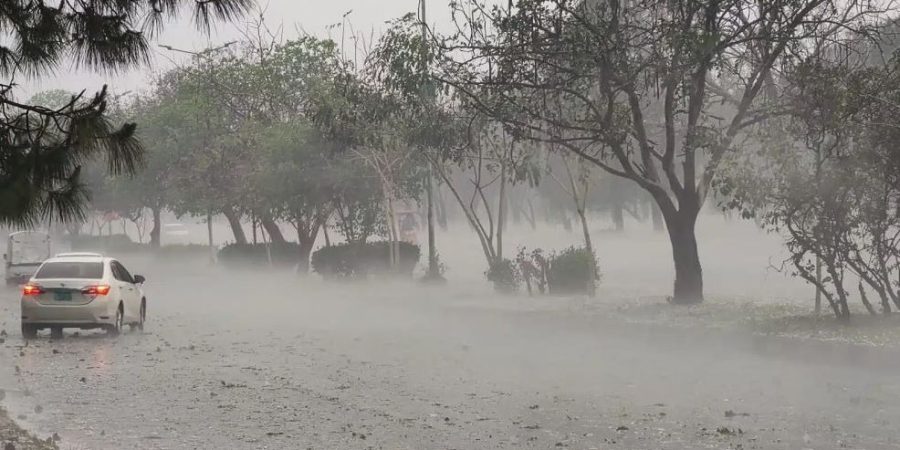 Dust-thunderstorm, rain predicted