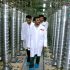 Nuclear inspectors will visit Iran’s nuclear sites