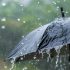 Extensive pre-monsoon rainfall spell from June 28