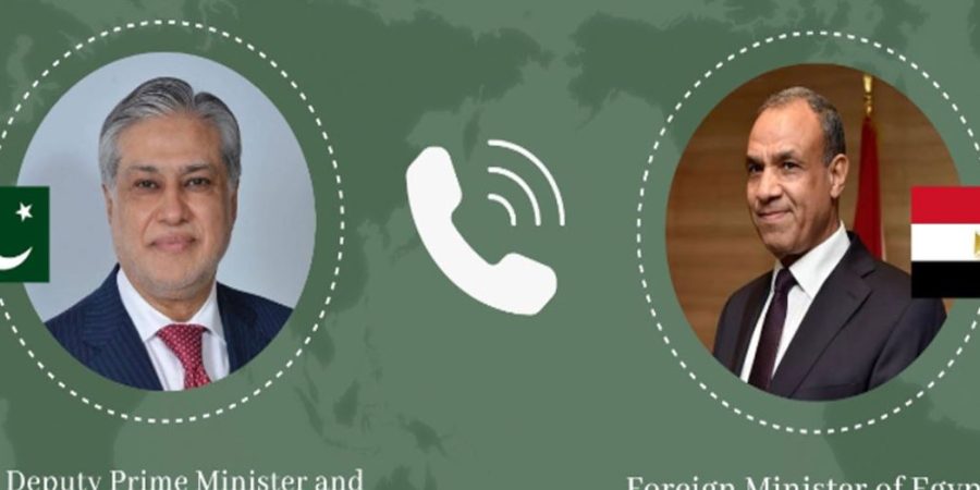 DPM, Egyptian FM discuss regional developments