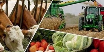 The updated agricultural system in New Uzbekistan serves the interests of farmers