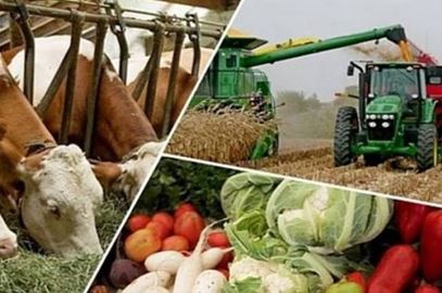 The updated agricultural system in New Uzbekistan serves the interests of farmers