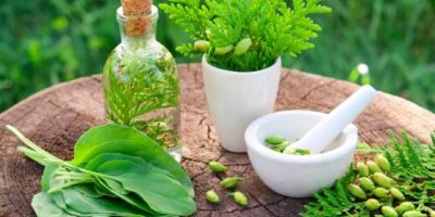 Two-Day Int’l exhibition, seminar on herbal medicines concludes