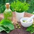 Two-Day Int’l exhibition, seminar on herbal medicines concludes