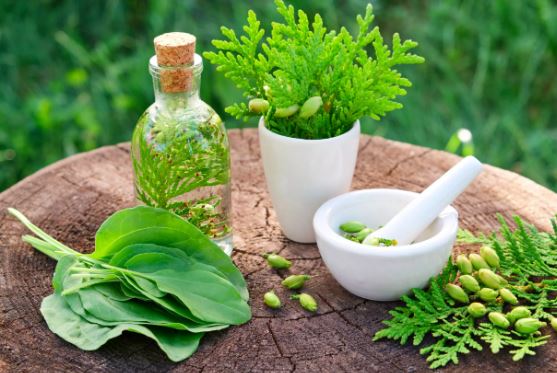 Two-Day Int’l exhibition, seminar on herbal medicines concludes