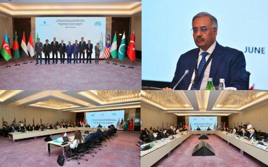 First meeting of D-8 energy ministers adopts “Baku Declaration on Energy Cooperation”