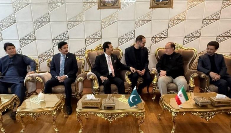 Gilani arrives in Tehran, receives official welcome, guard of honour