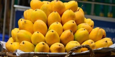 Pakistani mangoes in the spotlight at Beijing event as new trade deals signed