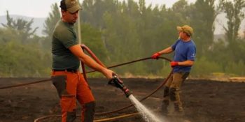 More than 430 evacuated from care homes due to Madrid blazes