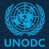 UNODC launches global campaign inviting youth to submit creative works on violence prevention