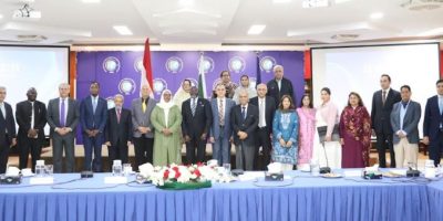 ISSI-PAIDAR celebrating Egypt's Revolution Day