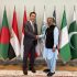 D-8, African nations boost agricultural cooperation
