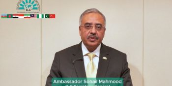 D-8 chief urges private sector to boost intra-bloc trade