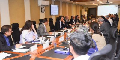 Finance minister virtually chairs ECC, approves steering committee for wheat import mechanism