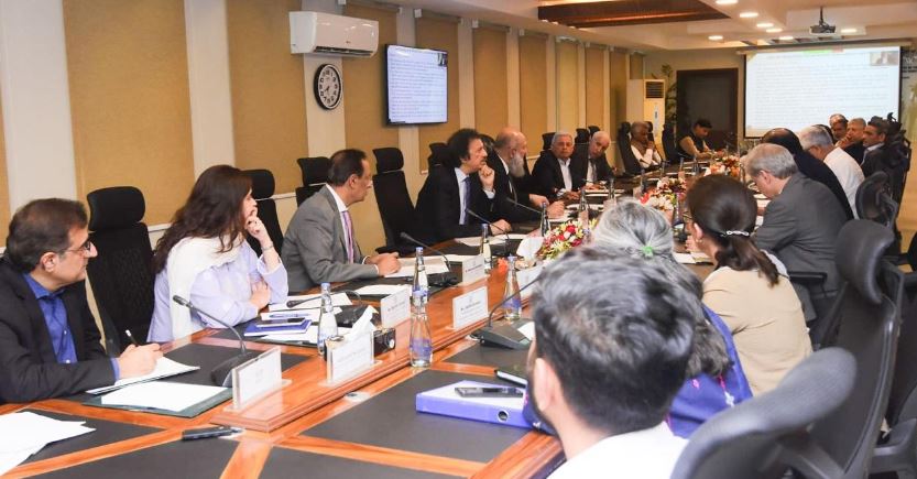 Finance minister virtually chairs ECC, approves steering committee for wheat import mechanism