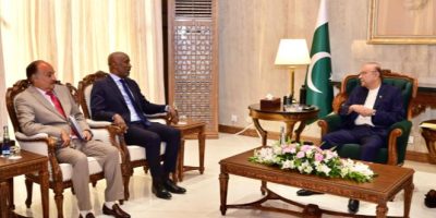 President Zardari seeks stronger UN partnership for development