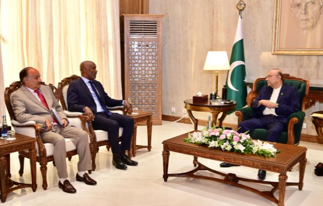 President Zardari seeks stronger UN partnership for development