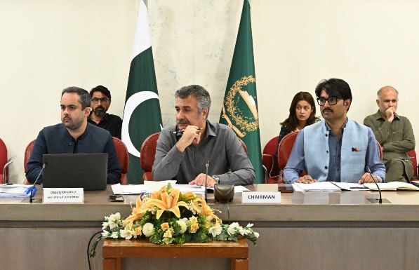Balochistan mining leases to be revisited after fatal accident