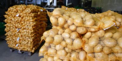 Pakistani potatoes now have export access to 36 global markets