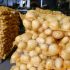 Pakistani potatoes now have export access to 36 global markets