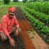 Crop management from August to November under changing climatic conditions: strategies for sustainable agricultural production in Pakistan