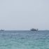 Ship struck by ‘unknown projectile’ in Hormuz: British maritime agency