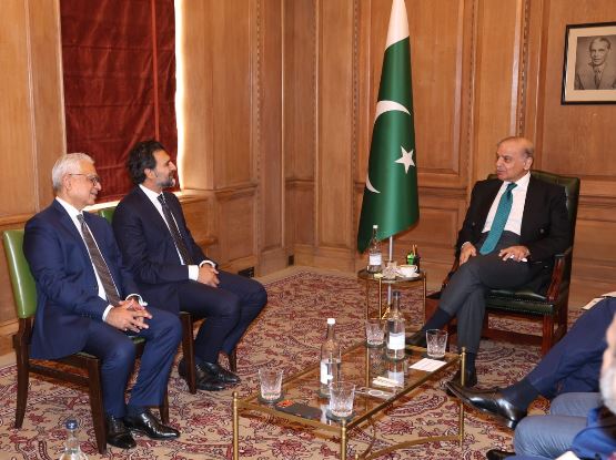 PM Shehbaz pitches Pakistan's economic reforms to top financial institutions
