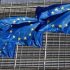 EU worried over Russian new moves