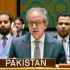Pakistan urges Houthis to cease ships attacks, slams attempts to weaponise Bab al-Mandab