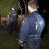 Man linked to Daesh arrested in Australia