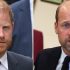 <strong>Prince Harry’s friend drops biggest truth about Duke’s secret reunion with William</strong>