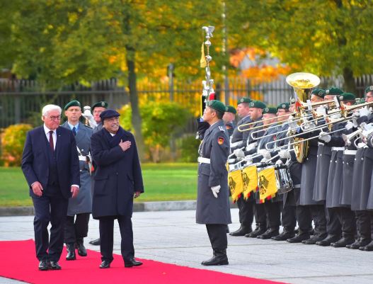 President Zardari seeks broader Pakistan-Germany cooperation