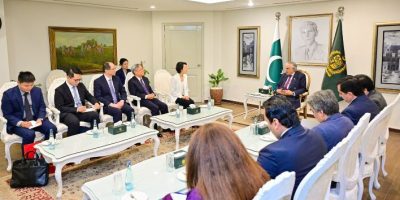 Mao Ning calls on Deputy PM Ishaq Dar in Islamabad