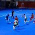 Pakistan Hockey League launched in Islamabad