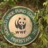 WWF has 12 employees on deputation, 90 posts vacant: NA told