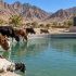 Balochistan to get 30 livestock ponds, 40 water tanks under Saudi funded project