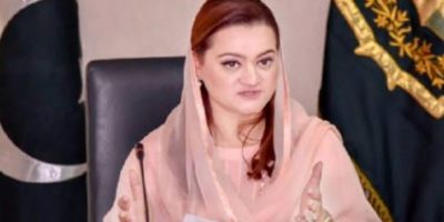 Punjab govt strengthening wildlife protection, rescue and enforcement measures: Marriyum Aurangzeb