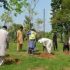 CDA’s Citywide Tree Plantation Drive Continues in Full Swing; Citizens Appreciate CDA’s Efforts