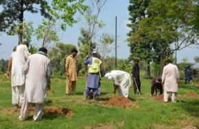 CDA’s Citywide Tree Plantation Drive Continues in Full Swing; Citizens Appreciate CDA’s Efforts